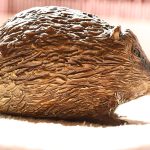 Eric - bronze hedgehog by Margie Rome