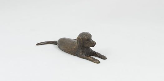 Mini Millie - bronze Labradoodle by Margie Rome