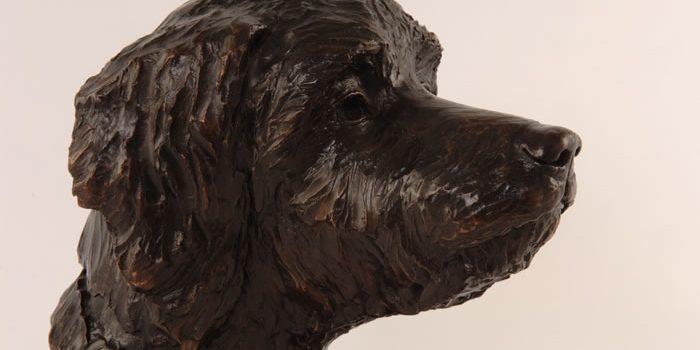 bronze of labradoodle head